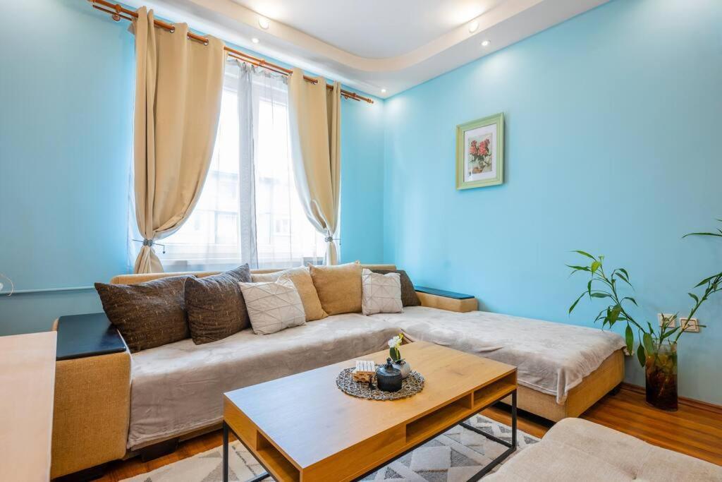Spacious 3Bd Central Apartment Sofia Zewnętrze zdjęcie
