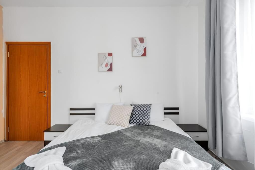 Spacious 3Bd Central Apartment Sofia Zewnętrze zdjęcie
