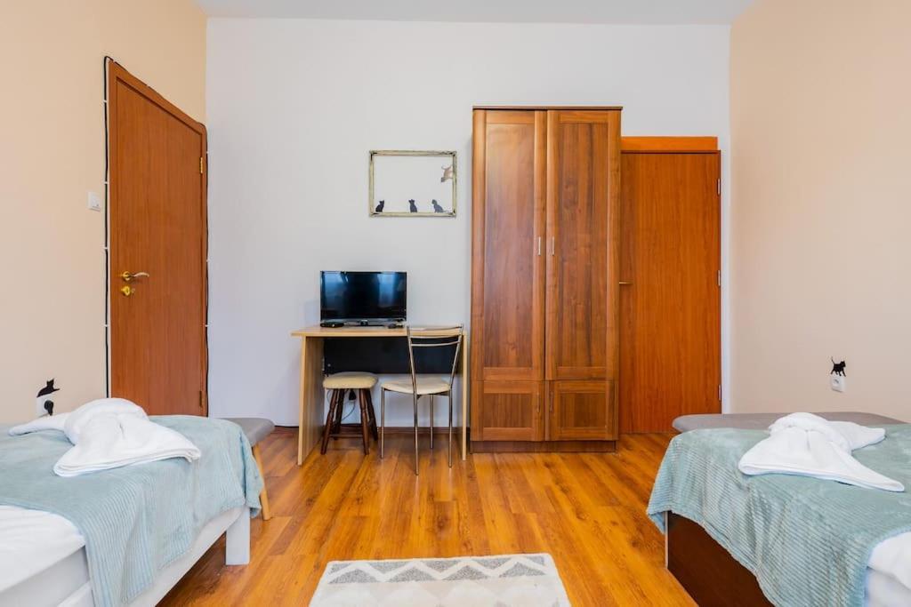 Spacious 3Bd Central Apartment Sofia Zewnętrze zdjęcie
